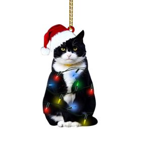 Black Cat Christmas Decorations Acrylic Double-sided Printing Ornaments (Option: Lighting Chain Cat)